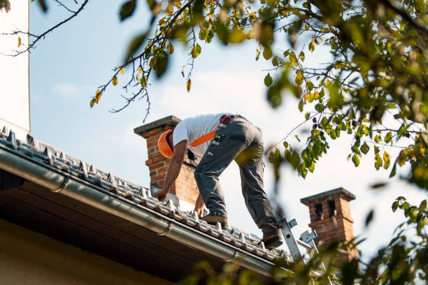 Best Shingle Roofing Installation  in Haubstadt, IN