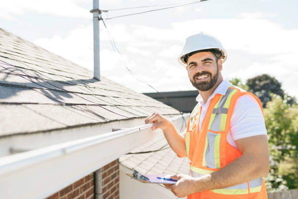 Best Roof Gutter Cleaning  in Haubstadt, IN
