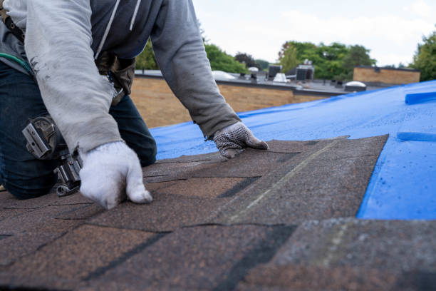 Best Roof Leak Repair  in Haubstadt, IN
