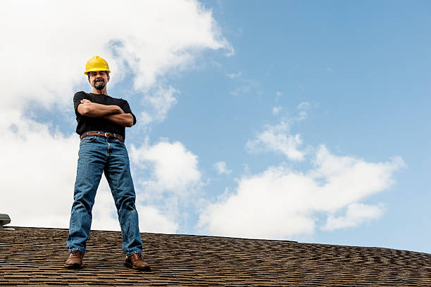 Best Roof Gutter Cleaning  in Haubstadt, IN